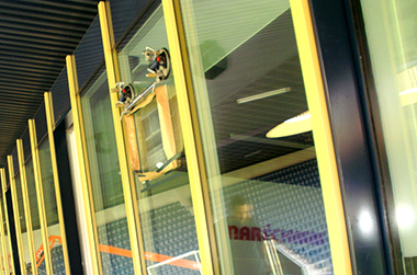 vetrox, surfaces vitrées, laitances sur verre, polir de fines rayures, enlever de fines rayures, enlever des rayures, égratignures